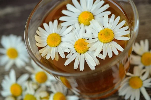 Boost Your Potted Plants With Worm Castings — Here's How