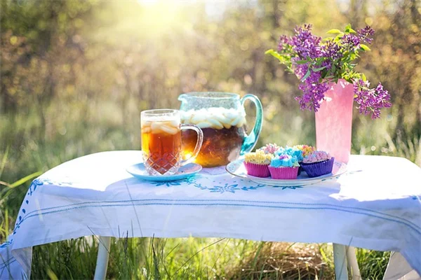 August Garden Tasks: What Matters Most for Northeast Gardens